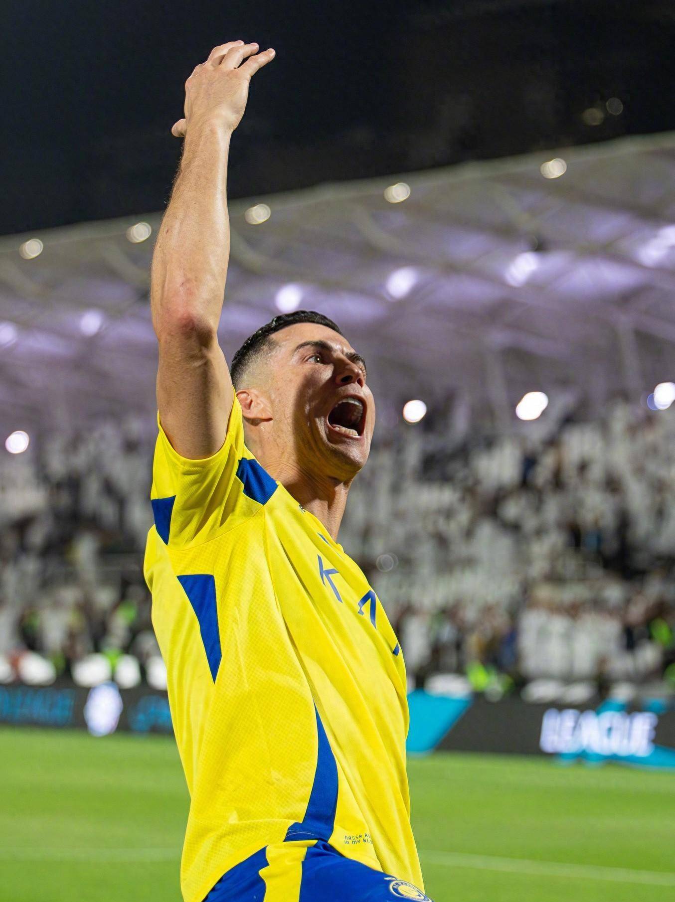 战绩显示 战绩显示