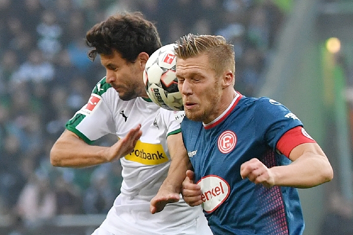 迷们呈现了 迷们呈现了